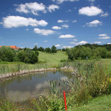 Anetseder Landhotel & Lofts Thyrnau Bagian luar foto
