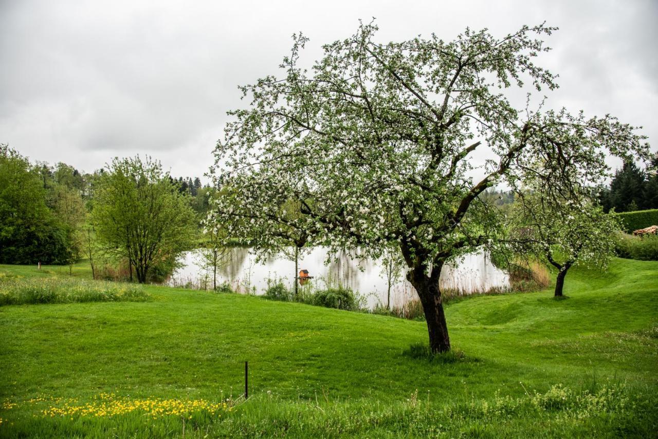 Anetseder Landhotel & Lofts Thyrnau Bagian luar foto