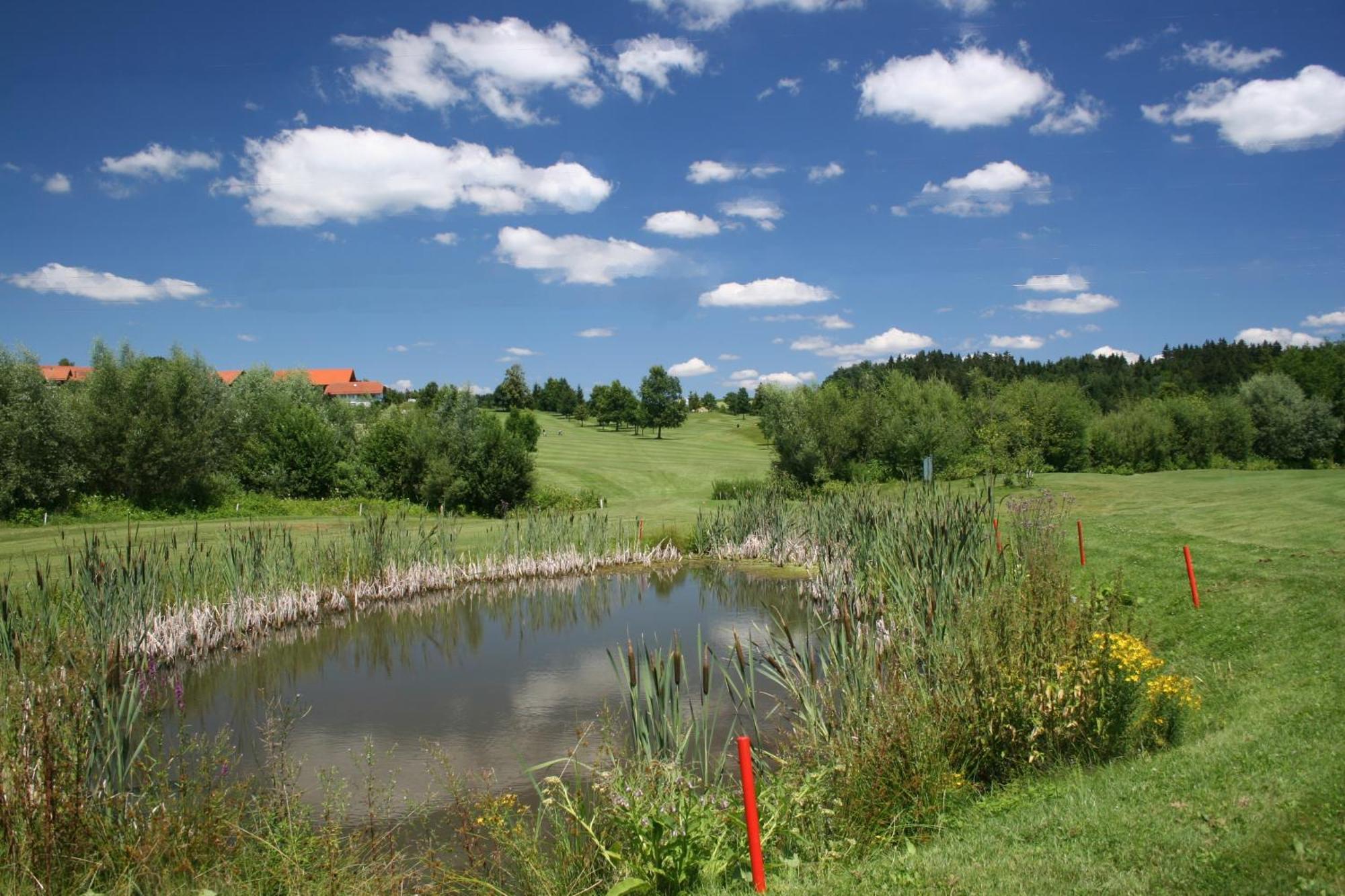 Anetseder Landhotel & Lofts Thyrnau Bagian luar foto