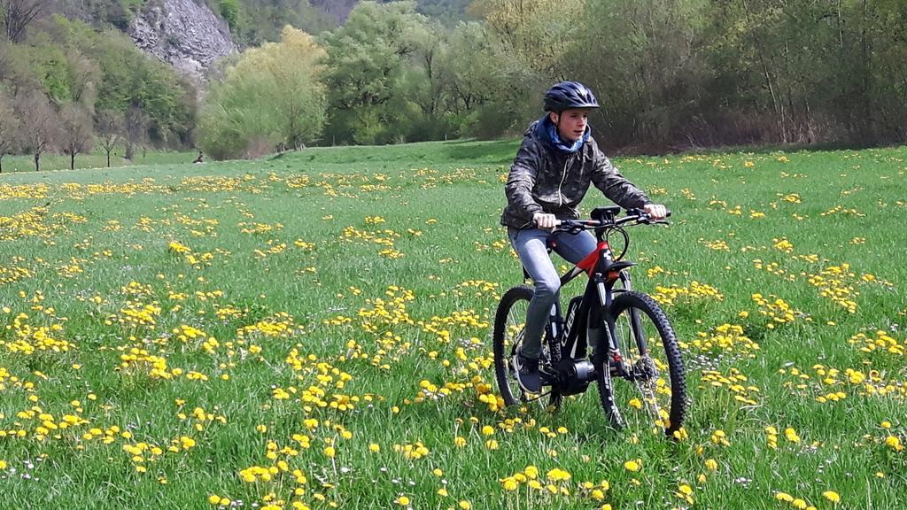 Anetseder Landhotel & Lofts Thyrnau Bagian luar foto